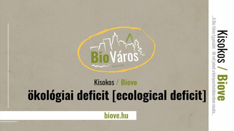 ökológiai deficit [ecological deficit]