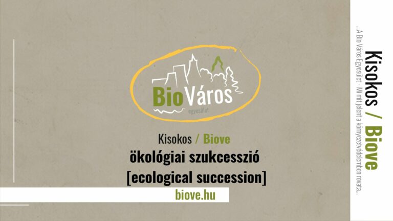 ökológiai szukcesszió [ecological succession]