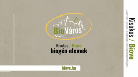 Biováros Kisokos - biogén elemek