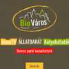 BioveTV - Domus parki kutyafuttató