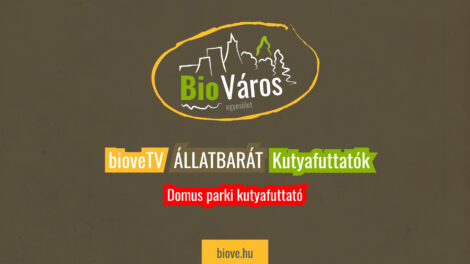 BioveTV - Domus parki kutyafuttató
