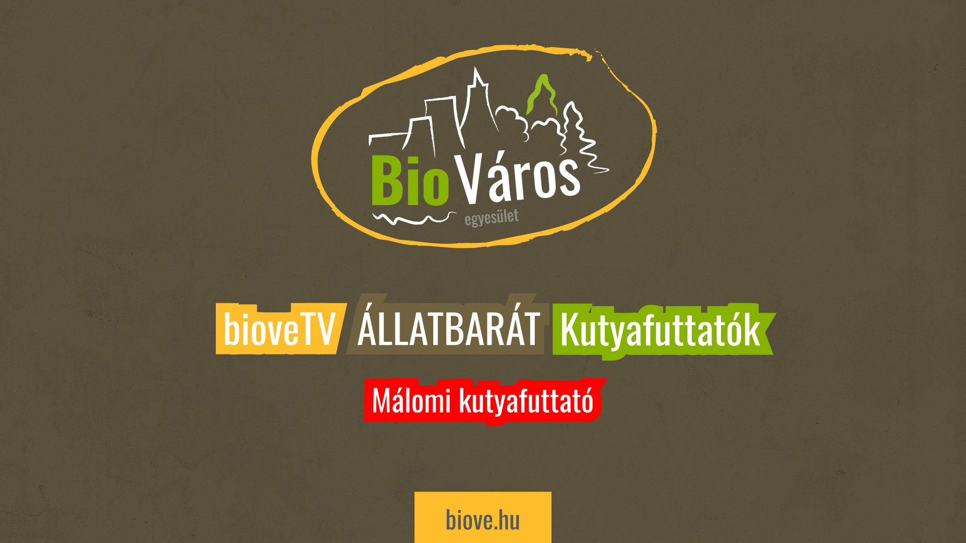 BioveTV - Málomi kutyafuttató
